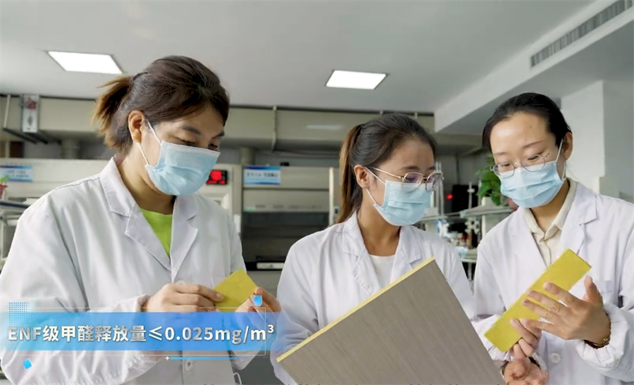 微信截圖_20241127183141